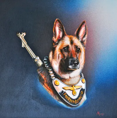 German Shepherd Wallpapers | hd backgrounds APK for Android Download