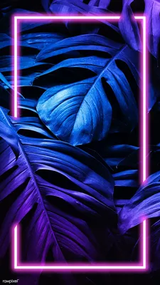 Обои на телефон — неоновые 1080×2340 | Zamanilka | Wallpaper iphone neon,  Beautiful wallpapers for iphone, Wallpaper iphone summer