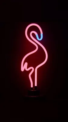 Wallpaper #iOS #Android #Обоинателефон #Apple #обои | Fondos de escritorio  de neón, Fondo de pantalla de flamingo, Fondos de pantalla tumblr