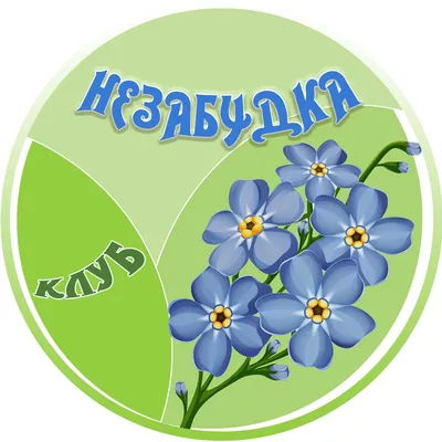 Незабудка полевая (Myosotis arvensis) - PictureThis