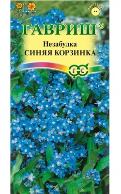 Незабудка (Myosotis) - «Цветет цветом неба, а пахнет весной.» | отзывы