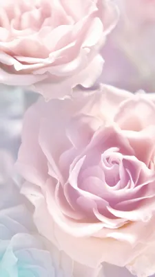 author unknown // pastel pink aesthetic pastel pink aesthetic wallpaper  iph… | Clouds wallpaper iphone, Cellphone wallpaper backgrounds, Cool  backgrounds wallpapers