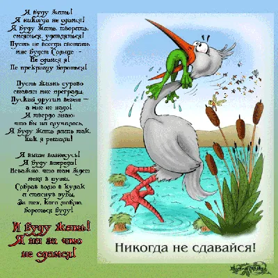 Никогда не сдавайся added a new photo. - Никогда не сдавайся