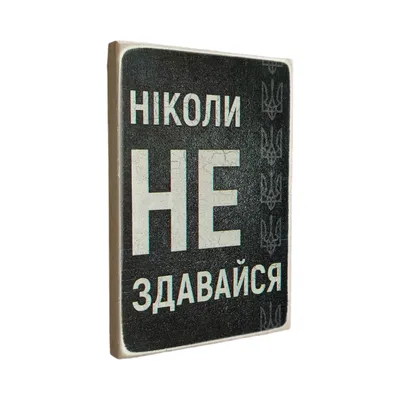 Футболка \"Никогда не сдавайся\" (ID#1206491220), цена: 250 ₴, купить на  Prom.ua