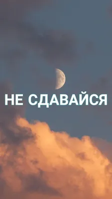 Никогда не сдавайся обои на телефон