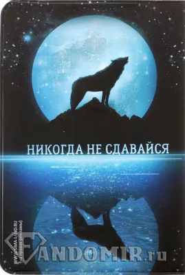 Скачать обои \"Никогда Не Сдавайся\" на телефон в высоком качестве,  вертикальные картинки \"Никогда Не Сдавайся\" бесплатно