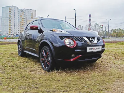 Ниссан жук — Nissan Juke (1G), 1,6 л, 2012 года | просто так | DRIVE2