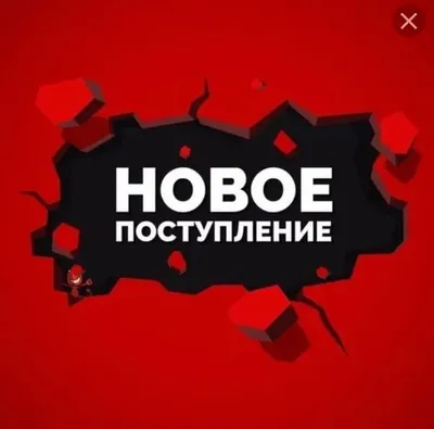 Новое поступление товара 17.02.2023 • Новости • Блог • Электроинструменты,  инструменты для электрика, садовый и хозяйственный инвентарь в Гродно.  Оптовые цены