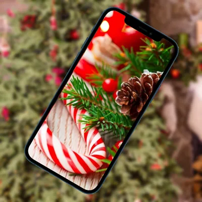 Новогодние обои на телефон | Christmas wallpaper android, Christmas  wallpaper backgrounds, Christmas tree wallpaper