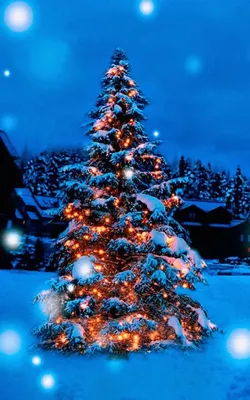 Новогодние обои на телефон | Christmas wallpaper android, Christmas  wallpaper backgrounds, Christmas tree wallpaper