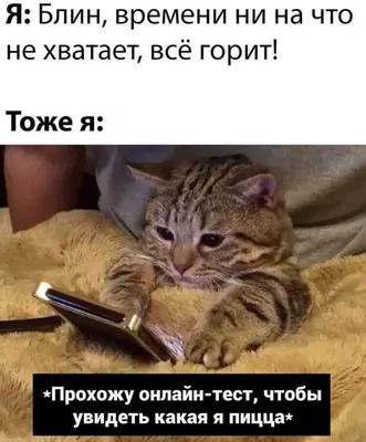 Ну очень смешные открытки для людей с чувством юмора 😁 Подойдут на любой  случай и даже просто без повода ◻️Цена: 25₽ ✨✨✨✨✨✨✨✨✨✨✨ Мы… | Instagram