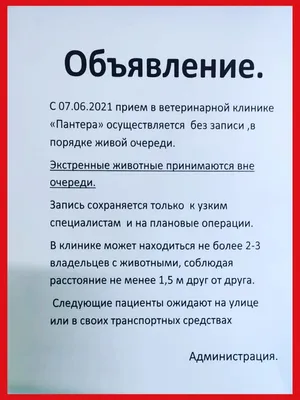 Как создать объявление для печати? Красивые шаблоны для листовок. |  Wondershare | Дзен