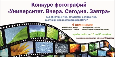 Объявление к № 5 Московских Ведомостей 1833 года. О проведении распродажи  лесных строительных материалов. - Объявления - История России в документах