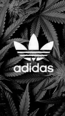 iPhone Wallpapers | Adidas wallpaper iphone, Adidas wallpapers, Adidas  iphone wallpaper