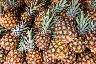 фон#картинка#историяинстаграм#сторис#storis#instagram#инстаграм | Pineapple  wallpaper, Trendy wallpaper, Pink pineapple wallpaper