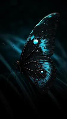 Pin by Angélica F. on Frases e ilustraciones | Beautiful butterfly  pictures, Butterfly wallpaper, Beautiful butterflies art