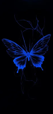 Pin by jm vs on Обои для телефона | Black wallpaper iphone dark, Black and  blue wallpaper, Butterfly wallpaper backgrounds