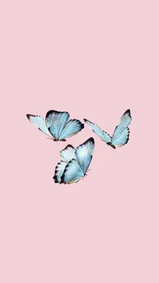 Butterfly🦋🦋🦋 shared by alinka on We Heart It | Cute wallpaper  backgrounds, Butterfly wallpaper iphone, Butterfly wallpaper