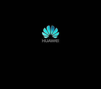 Фирменные обои Huawei P60 уже доступны всем желающим [скачать]