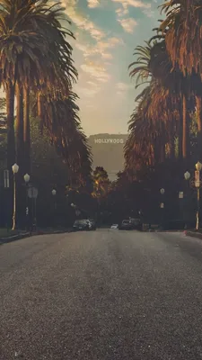 Hollywood : r/iWallpaper