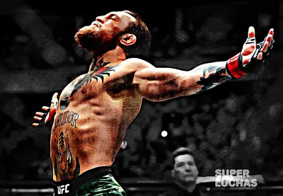 Conor Mcgregor HD Wallpaper для Android — Скачать