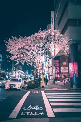 Bts phone | Bts spring day wallpaper, Aesthetic desktop wallpaper,  Aesthetic backgrounds