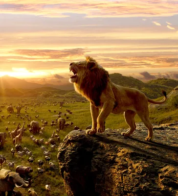 The Lion King (2019) Picture - Image Abyss