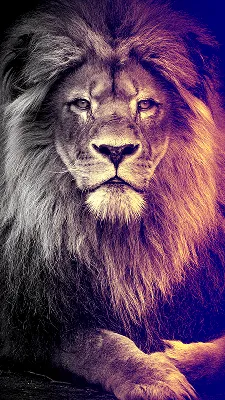 Lion King Galaxy iPhone Wallpaper | Disney wallpaper, Disney phone wallpaper,  Disney art