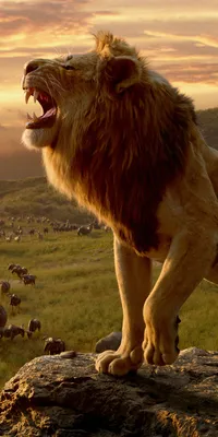 The Lion King Wallpapers and b для Android — Скачать