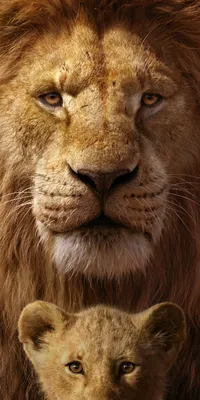 Download \"Mufasa (The Lion King)\" wallpapers for mobile phone, free \"Mufasa  (The Lion King)\" HD pictures