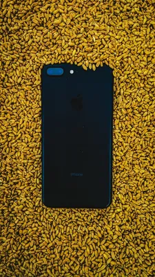 Iphone 7 Плюс Обои На Стену - Бесплатное фото на Pixabay - Pixabay