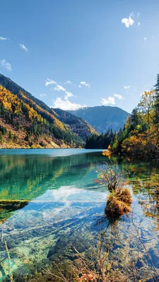 Image Jiuzhaigou park China Nature Autumn mountain park 1080x1920