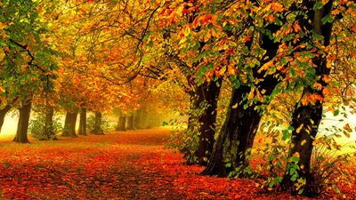 Download \"Autumn\" wallpapers for mobile phone, free \"Autumn\" HD pictures