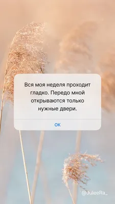Обои на телефон. Лучшие аффирмации на каждый день. Эстетичные обои | Обои,  Мотивация, Картинки