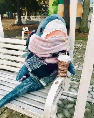 ОБОИ НА ТЕЛЕФОН | Shark toy, Shark plush, Cute shark