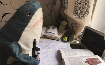 ᐉ Мягкая игрушка Акула обнимашка антистресс Shark doll плюшевая 80 см