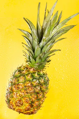 Cute pineapple photo | Pineapple wallpaper, Pineapple art, Pineapple  pictures