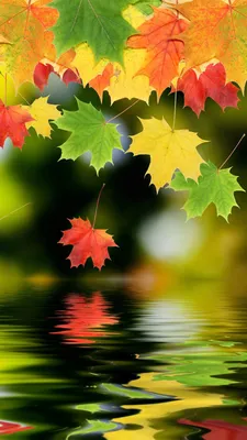 New wallpaper for your android or iOS Device. Get our app on Android or iOS  for free! http://bit.ly/hd… | S5 wallpaper, Thanksgiving live wallpaper,  Fall wallpaper