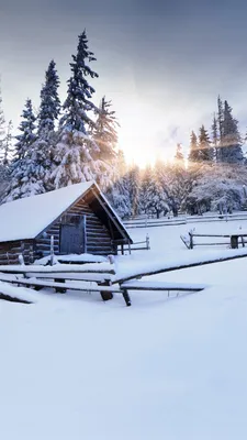 Любовь, Лето, Осень, Зима! Классные и чудесные фото-обои на тему зима (обои  для android)!