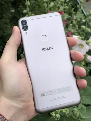 ASUS представила Zenfone 10 — компактный флагман с 5,9-дюймовым экраном и  Snapdragon 8 Gen 2