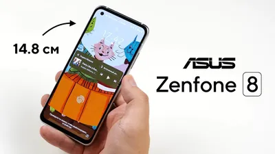 Обзор смартфона Asus ZenFone Max Pro M1: емкий аккумулятор, большой экран и  низкая цена