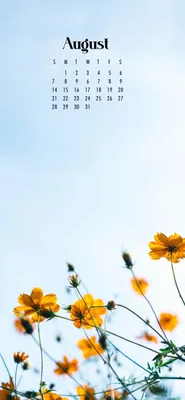 Free August 2022 Calendar Aesthetic Wallpaper For iPhone | Calendar  wallpaper, August wallpaper, August calendar