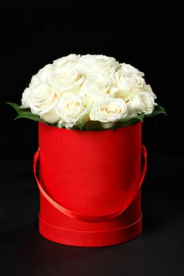 Pictures bouquet Roses White flower Black background 640x960