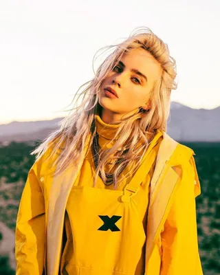 Билли Айлиш (Billie Eilish) 20 фото, на заставку и рабочий стол — Обои на рабочий  стол HD качества | Billie eilish, Billie, Family photoshoot outfits