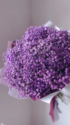 Обои для телефона в HD качестве | Purple flowers, Purple flowers wallpaper,  Flower therapy