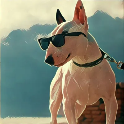 Bull Terrier Wallpapers - Wallpaper Cave