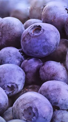 обои на телефон | Fruit wallpaper, Fruit photography, Purple wallpaper