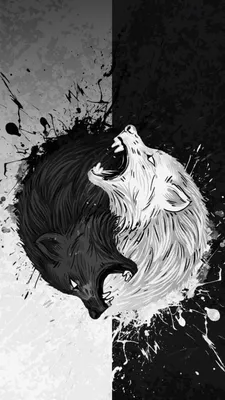 Black and White Wallpapers для Android — Скачать