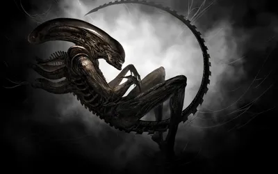 Скачать обои \"Чужой (Alien)\" на телефон в высоком качестве, вертикальные  картинки \"Чужой (Alien)\" бесплатно