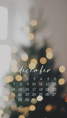 Календарь декабрь 2020 | Instagram frame template, Christmas phone  wallpaper, Wallpaper iphone christmas